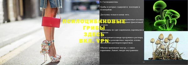 мдпв Надым