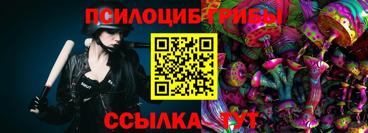 Псилоцибиновые грибы Psilocybine cubensis Омск